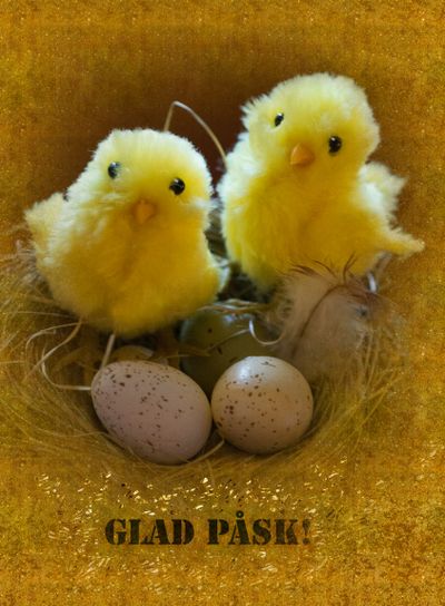 Glad Påsk!! 1.