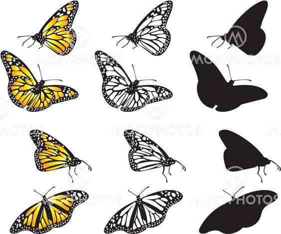 butterflies set (vector)