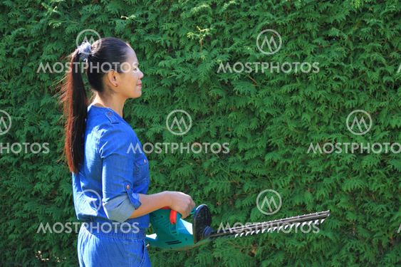 hedge-cutter