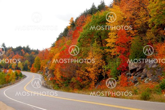 Fall highway