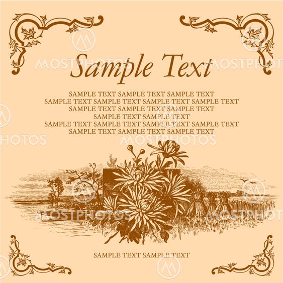 antique card engraving (vector)