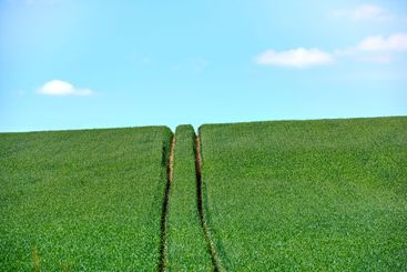 Agricultural land, farm tracks and field for crops...