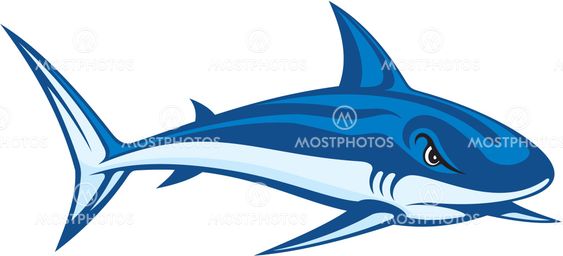 Shark lineart