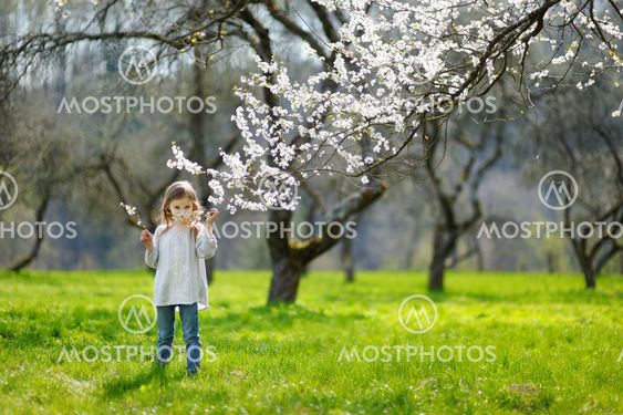 Adorable little girl in blooming cherry garden