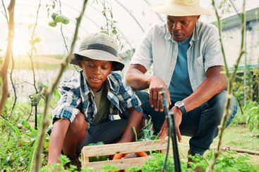 Man, child and farming in greenhouse, harvest and family...