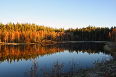 Autumn lake