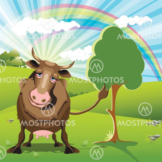 cow