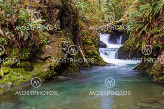 Waterfall at Willaby Creek