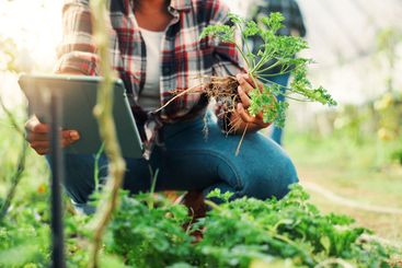 Greenhouse, plants and hands with tablet for farming,...