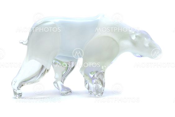 White polar bear
