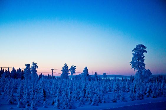 vinter