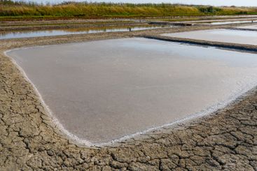 Expansive Salt Evaporation Ponds Reflecting Sunlight in...
