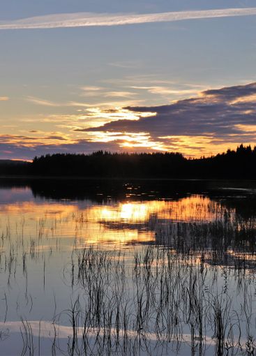 Underbar augustikväll vid en sjö