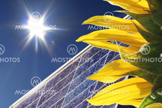 Solrosolja
