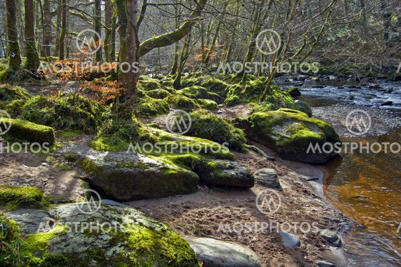 River Roe