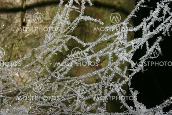 Icy spiderweb