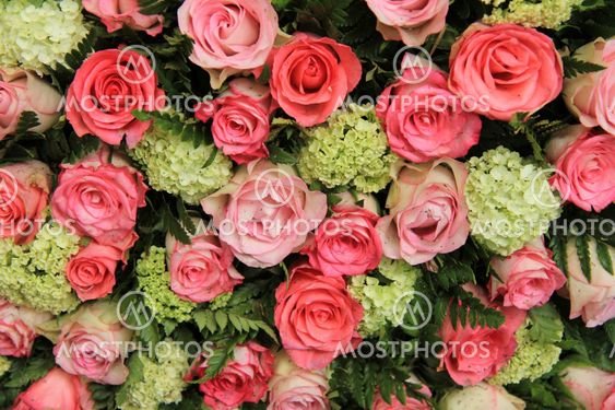 Bridal arrangement, pink roses and hydrangea
