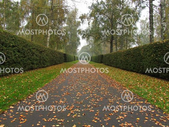 Autumn has arrived