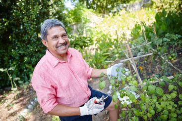 Portrait, gardening and senior man with plants, backyard...
