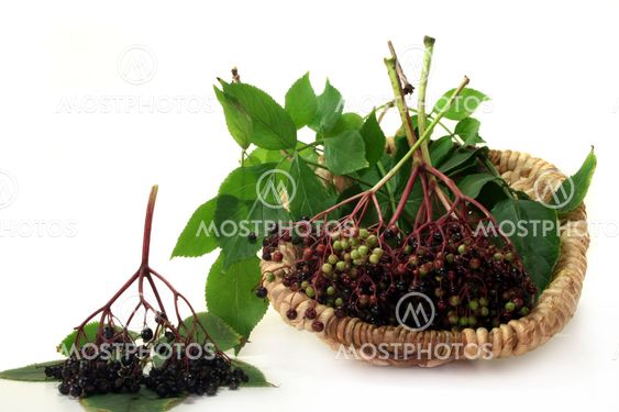 Elderberries