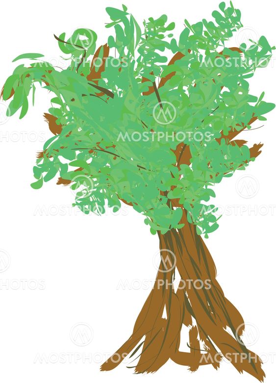 Brigthful summer tree.