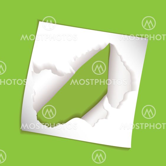 paper element rip hole