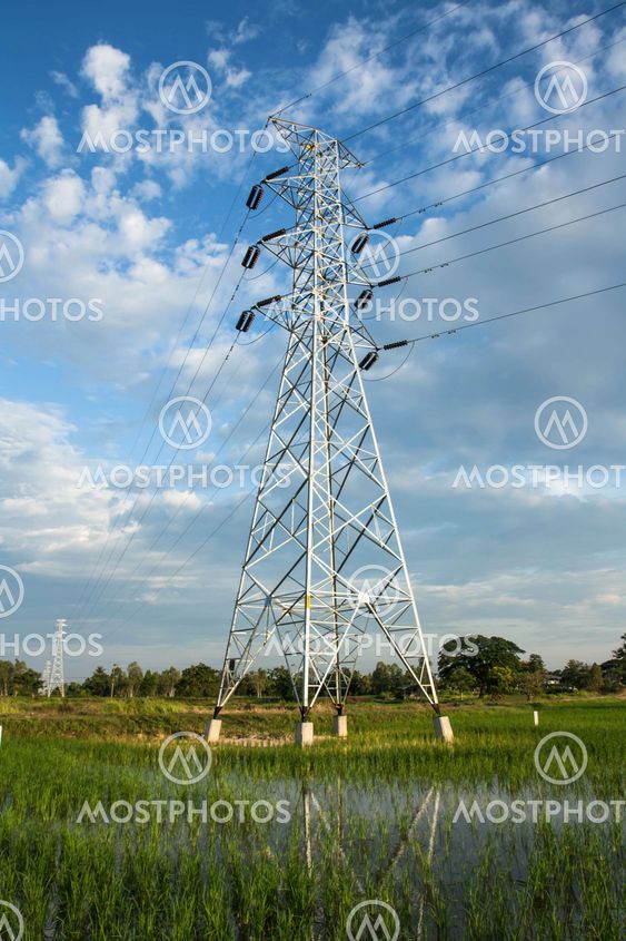 High voltage pylon in paddy
