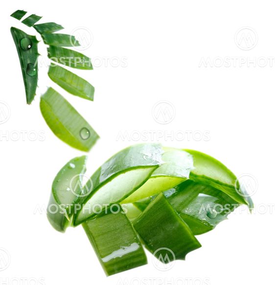 Background with aloe vera isolated on white