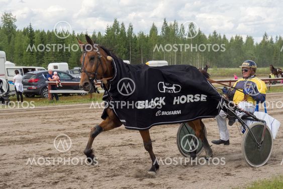 Hevonen