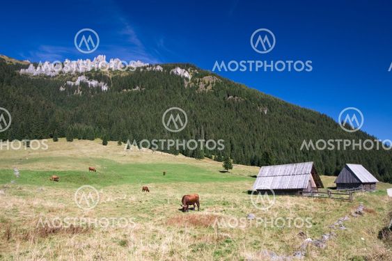 Rural Landscape