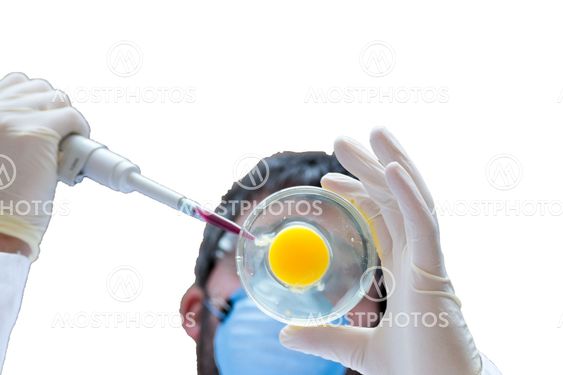 Microinjecting an egg