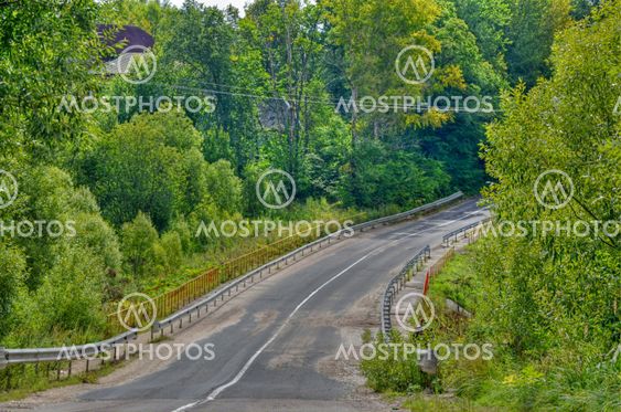 Road through wood