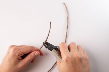 Hands using cutters to snip brown twig, white...