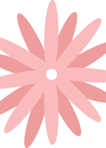 Blooming pink flower with numerous delicate petals,...