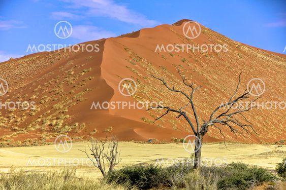 vast dune at Sossusvlei namib naukluft park namibia africa