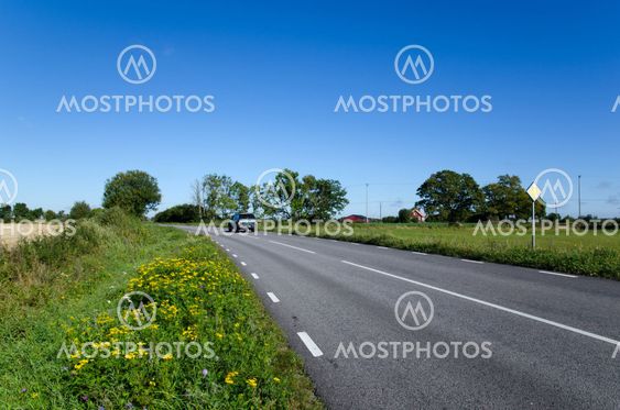 Blooming roadside
