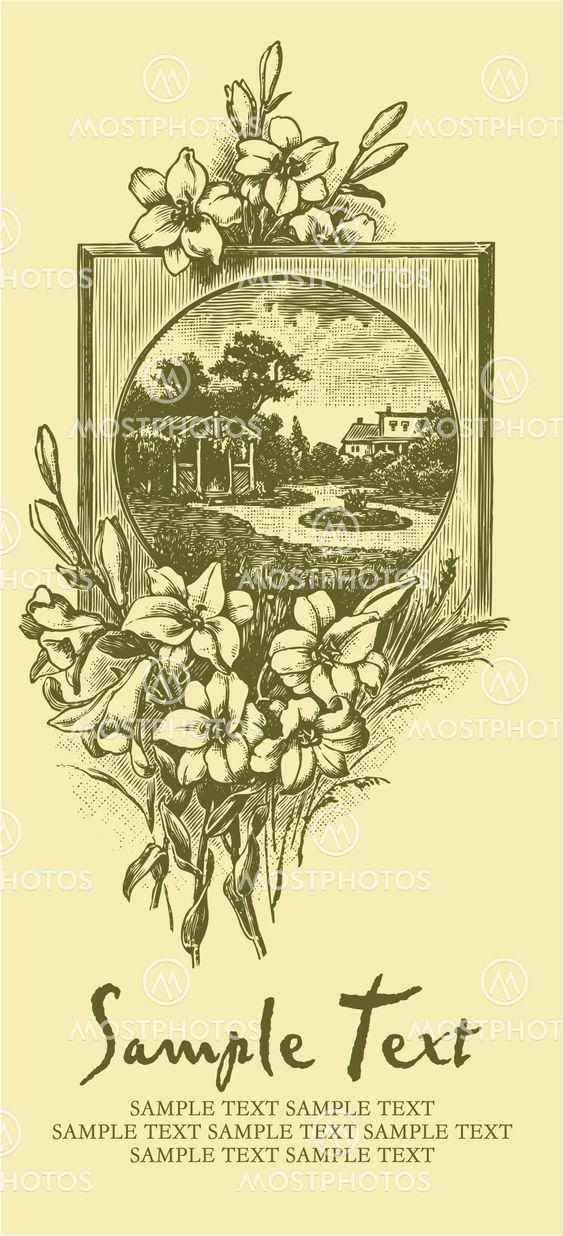 antique card engraving (vector)