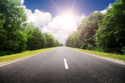 Asphalt road in green forest.