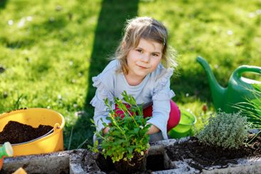Adorable little toddler girl holding garden shovel with...