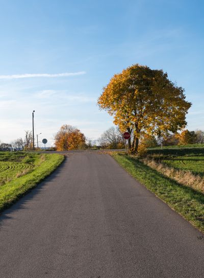 Väg med träd i höstfärger
