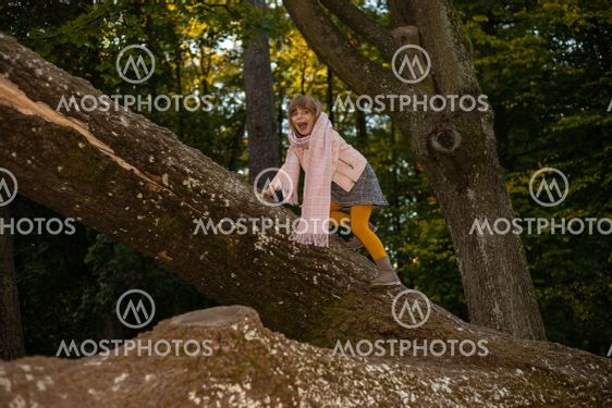 girl kid climbs huge trees in the autumn Park. Fun...