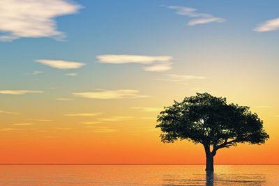 Tree growing from water