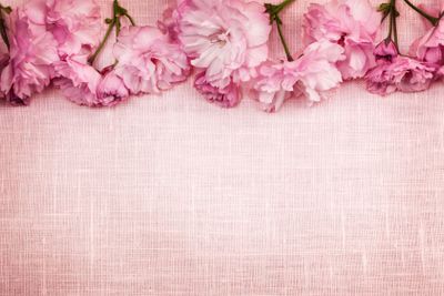 Cherry blossoms border on pink linen
