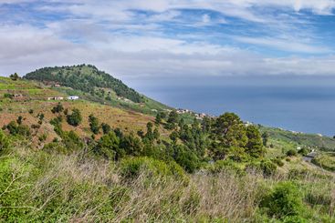 Field, nature and sea with trail on mountain for hiking,...