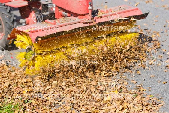 Clean the street