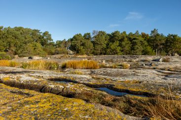 Utsikt från Boön, Karlshamn