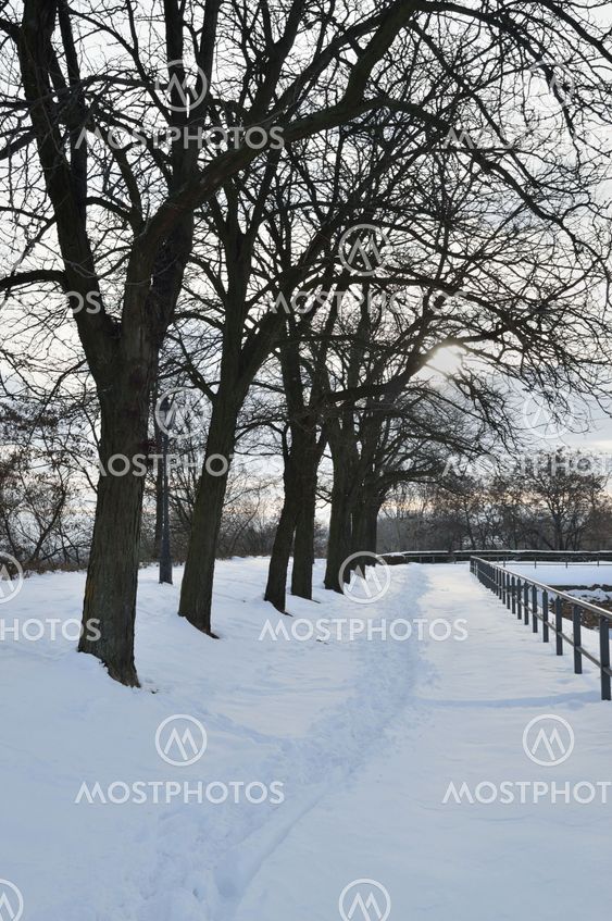 Winter Landscape