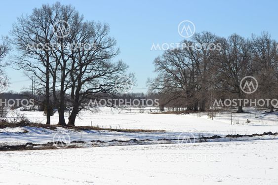 Winter scene