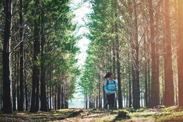 Trees, running and woman in woods with fitness, wellness...
