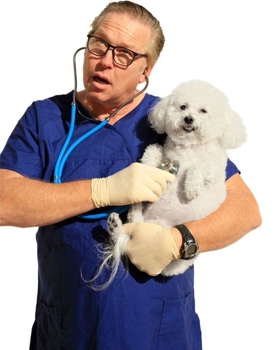 a handsome young doctor listens for Fifi's Heart Beat for...